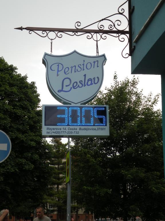 Penzion- Leslav Ческе-Будеёвице Экстерьер фото
