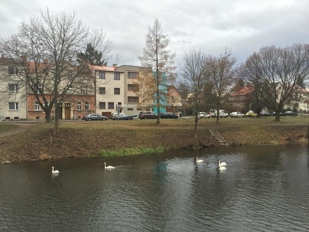 Penzion- Leslav Ческе-Будеёвице Экстерьер фото